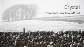  Presentation with trees - Slide set with snowcovered-trees-and-field-behind background and a white colored foreground