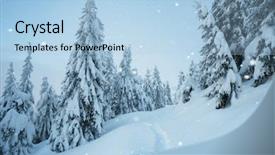  Presentation with winter evergreen forest - Theme consisting of snowfall in the winter forest background and a light blue colored foreground