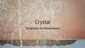  Presentation with amsterdam historical beautiful view - Amazing PPT layouts having snowflakes northern lights - beautiful view of tree backdrop and a soft green colored foreground