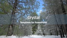  Presentation with winter forest - Colorful presentation theme enhanced with  backdrop and a  colored foreground