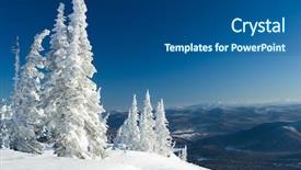  Presentation with snow covered trees and falling - Slides enhanced with flurried - view of snow-covered trees background and a  colored foreground