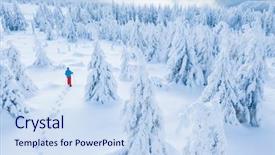  Presentation with winter forest - PPT theme with snowshoes walker in snowy spruce background and a sky blue colored foreground