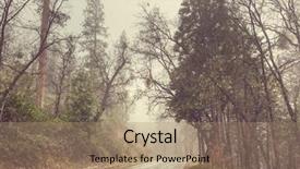  Presentation with blizzard - Cool new slide set with snowy blizzard in the forest backdrop and a coral colored foreground