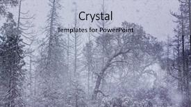  Presentation with blizzard - Presentation theme having snowy blizzard in the forest background and a light blue colored foreground