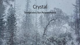 Presentation with blizzard - Audience pleasing presentation theme consisting of snowy blizzard in the forest backdrop and a light blue colored foreground