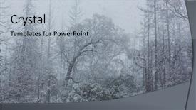  Presentation with blizzard - Cool new theme with snowy blizzard in the forest backdrop and a light blue colored foreground