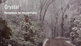  Presentation with blizzard - PPT theme with snowy blizzard in the forest background and a gray colored foreground
