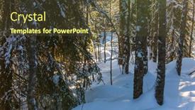  Presentation with world tourism - Cool new slide set with snowy-coniferous-forest-ranua-zoo backdrop and a tawny brown colored foreground