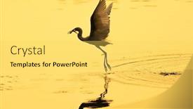  Presentation with lake fish - Amazing slide deck having snowy-egret-wading-in-shallow backdrop and a yellow colored foreground