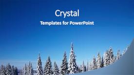  Presentation with pine trees - Presentation design featuring part of wat mahathat in the ayutthaya historical park thailand background and a teal colored foreground.