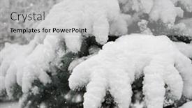  Presentation with forest winter - Audience pleasing slides consisting of board of directors 3d rendering backdrop and a light blue colored foreground