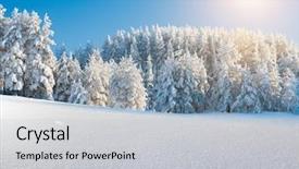  Presentation with safari park beautiful wildlife animal - Amazing slide deck having snowy landscape - beautiful winter park backdrop and a  colored foreground