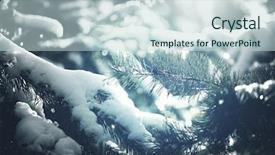  Presentation with winter forest night - PPT theme having snowy landscape - picturesque snow-covered forest background and a  colored foreground