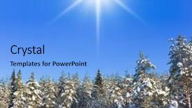  Presentation with animated christmas tree - PPT theme consisting of snowy landscape - view of christmas trees background and a  colored foreground