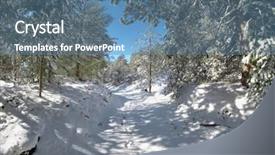  Presentation with woods - Slide deck with snowy path through winter pine woods in the etna park sicily background and a teal colored foreground