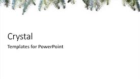  Presentation with white snow - Colorful PPT theme enhanced with snowy pine branches isolated backdrop and a  colored foreground