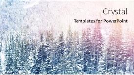  Presentation with pine trees - Amazing slides having snowy pine trees on alp mountain slope during winter backdrop and a pink colored foreground