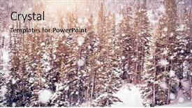  Presentation with pine trees - PPT layouts having snowy pine trees on alp mountain slope during winter background and a lemonade colored foreground