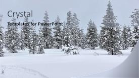  Presentation with pine trees - Presentation theme with snowy-pine-trees background and a light blue colored foreground