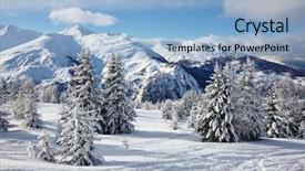 Presentation with pine trees - Beautiful slides featuring snowy pine trees on a winter landscape backdrop and a light blue colored foreground