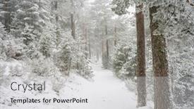  Presentation with foggy - Slides featuring snowy pines on a foggy morning port of navacerrada in madrid spain background and a white colored foreground