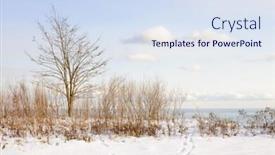  Presentation with toronto - Theme enhanced with snowy-shore-of-lake-ontario background and a sky blue colored foreground