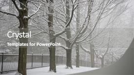  Presentation with toronto - Amazing PPT theme having snowy trees and fence along backdrop and a gray colored foreground
