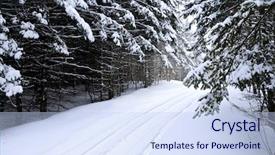  Presentation with winter and trees - Audience pleasing slides consisting of snowy trees and snowmobile backdrop and a  colored foreground