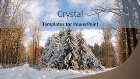  Presentation with czech republic - Presentation theme featuring snowy-trees-in-the-national background and a light blue colored foreground