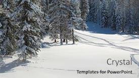  Presentation with winter weather - PPT layouts having snowy-trees-on-a-winter background and a light gray colored foreground