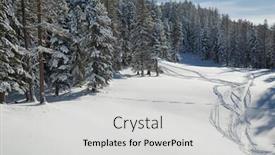  Presentation with winter weather - Theme enhanced with snowy-trees-on-a-winter background and a light gray colored foreground