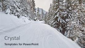  Presentation with winter weather - Amazing PPT layouts having snowy-trees-on-a-winter backdrop and a light gray colored foreground
