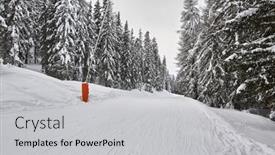  Presentation with winter weather - PPT theme having snowy-trees-on-a-winter background and a light gray colored foreground