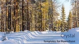  Presentation with world tourism - PPT layouts featuring snowy-wide-road background and a light blue colored foreground