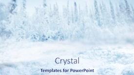  Presentation with forest winter - Presentation theme having snowy-winter-fir-forest-background background and a sky blue colored foreground