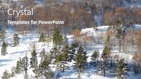  Presentation with forest winter - Presentation theme featuring snowy-winter-forest background and a gray colored foreground