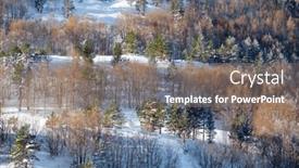  Presentation with forest winter - Presentation theme having snowy-winter-forest background and a gray colored foreground