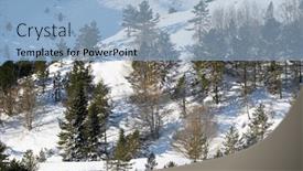  Presentation with winter forest - PPT theme enhanced with snowy-winter-forest background and a light blue colored foreground