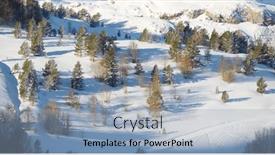  Presentation with winter forest - 