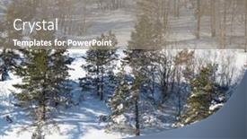  Presentation with winter forest - 