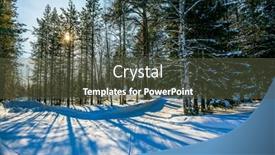  Presentation with deep blue - Slides having sun illuminates the coniferous forest background and a tawny brown colored foreground