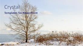  Presentation with winter - Slide deck with snowy-winter-shore-of-lake background and a sky blue colored foreground