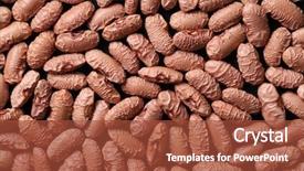  Presentation with black light - Cool new presentation theme with soaked light red kidney beans backdrop and a red colored foreground