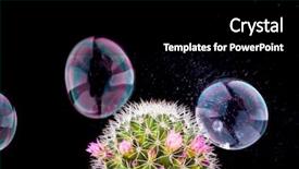  Presentation with abstract close up soap bubble - Presentation featuring soap bubble bursting and cactus background and a black colored foreground