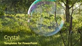  Presentation with sunshine - Presentation theme enhanced with soap bubble soap bubble in the forest against backlit sunshine background and a tawny brown colored foreground