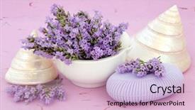  Presentation with lavender flowers - PPT theme having soap with mother of pearl background and a lemonade colored foreground