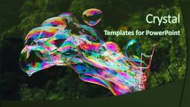  Presentation with abstract close up soap bubble - Cool new presentation theme with soapy - soap bubbles abstract shape green backdrop and a tawny brown colored foreground