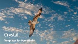  Presentation with soaring - Amazing slide set having winter warm knitted sweater with traditional swedish ornament and autumn leaves on rustic wooden background autumn moody toned image backdrop and a soft green colored foreground