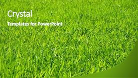  Presentation with illumination - Presentation design enhanced with sod - back illumination of a grass background and a shamrock green colored foreground