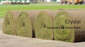  Presentation with grass - Colorful presentation design enhanced with sod - fresh rolled-up grass turf backdrop and a coral colored foreground